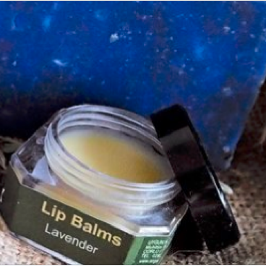 Argan Dudak Bakım Kremi Lavanta